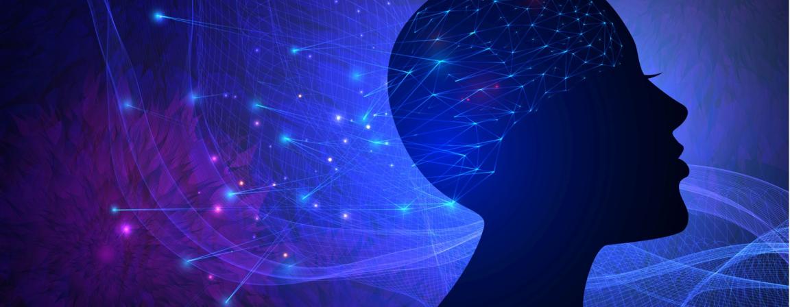 cerveau_epilepsie.jpg