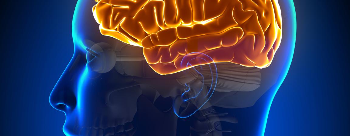 neuro