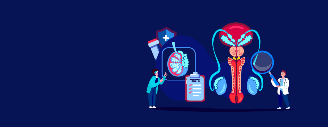 Illustration schéma prostate avec soignants