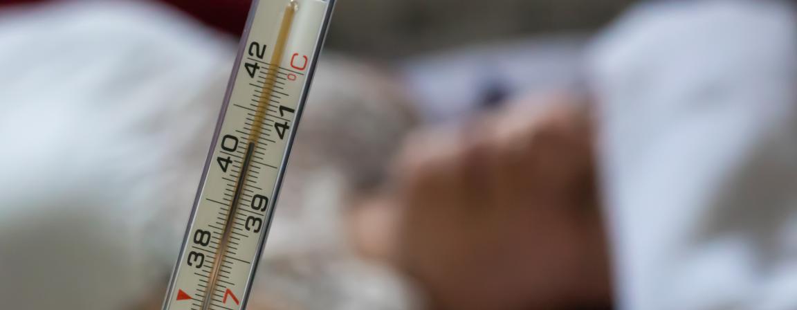 canicule hopital