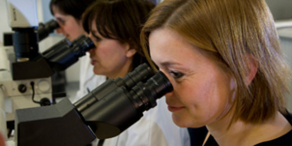 anatomie_pathologique