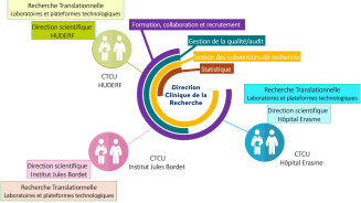 schema_direction_de_la_recherche