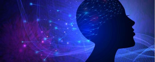 cerveau_epilepsie.jpg