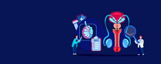 Illustration schéma prostate avec soignants