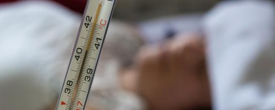 canicule hopital